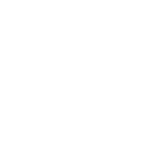 Icon_6_SAP