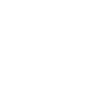 Icon_7_SAP